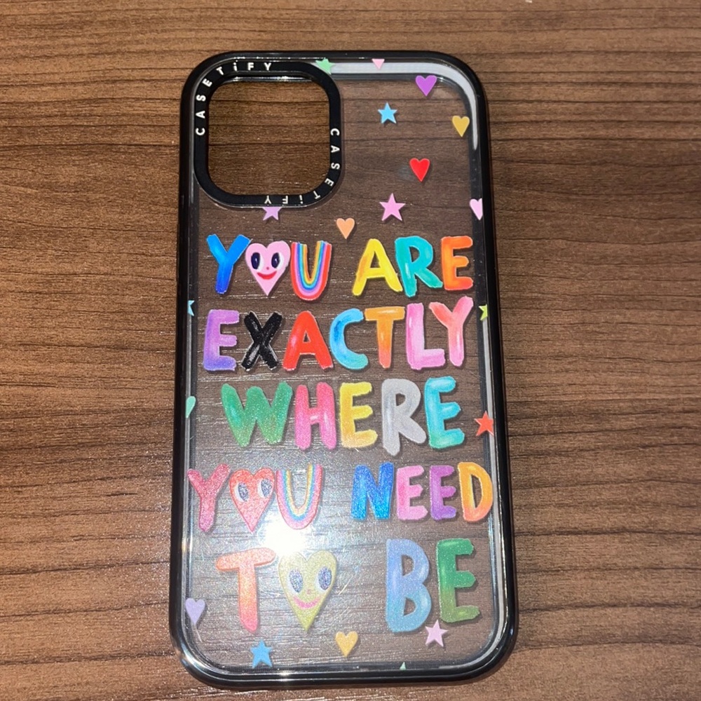 iPhone 12 Pro Max Case